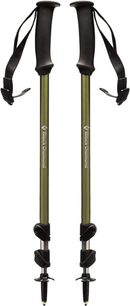 Black Diamond Trail Explorer 3 Trekking Poles